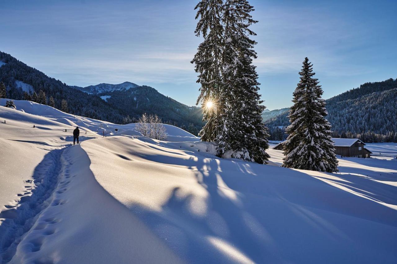 Hubertus Mountain Refugio Allgaeu Balderschwang Extérieur photo