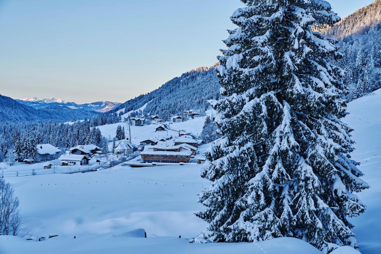 Hubertus Mountain Refugio Allgaeu Balderschwang Extérieur photo